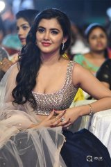 Nela Ticket Movie Audio Launch Photos